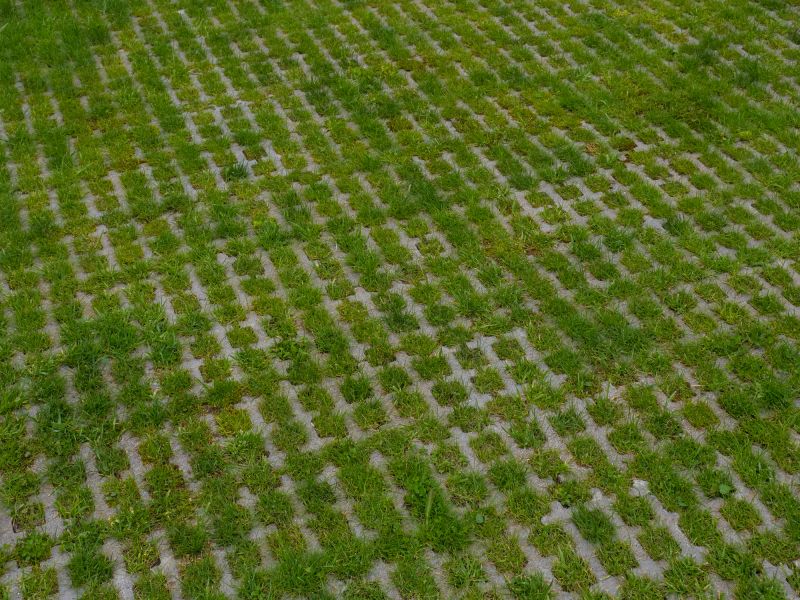 Permeable Paver Surface